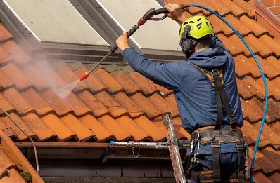 Démoussage et hydrofuge de toiture à Landavran